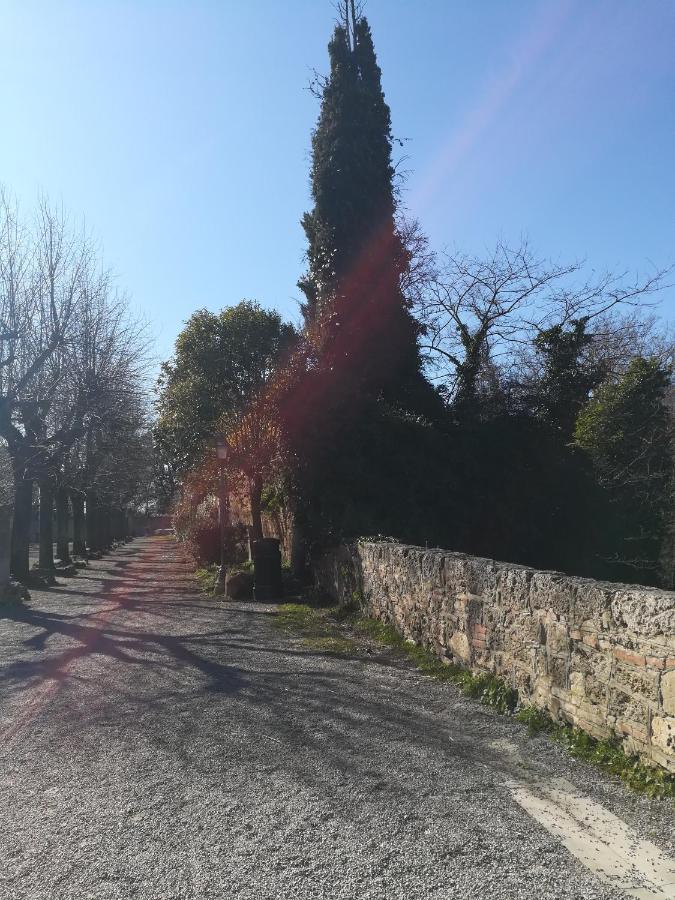 Apartamento La Terrazza Chiusi Exterior foto
